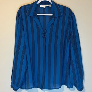 Arrow Women's Blue and Black Striped Button Down Shirt